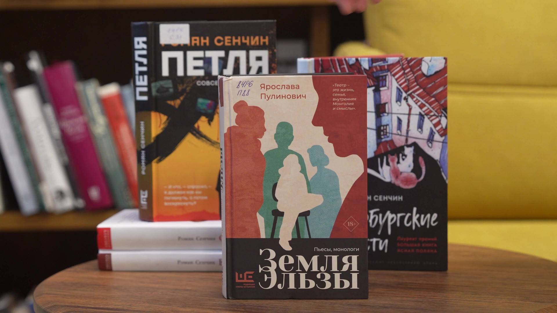 Ярослава Пулинович «Земля Эльзы» смотреть онлайн