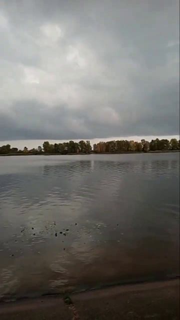 восхитительно#природа#река#shorts смотреть онлайн