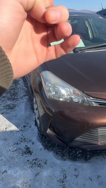 АВТО ИЗ ЯПОНИИ, 17.01.25 АВТОРЫНОК ЦЕНЫ НА АВТО, АВТОПОДБО? смотреть онлайн