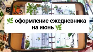🌿 оформление ежедневника на июнь 🌿