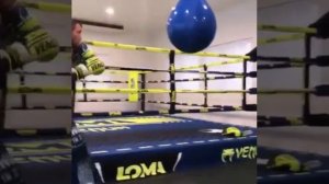 Тренировка Василий Ломаченко в зале по боксу #boxing #lomache