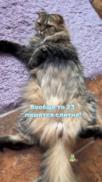 А вы сколько можете съесть блинов?😸 #cat #котики #юмор #к смотреть онлайн