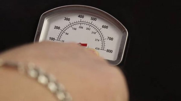 Обзор газового гриля ESPRIT 31B Start GRILL