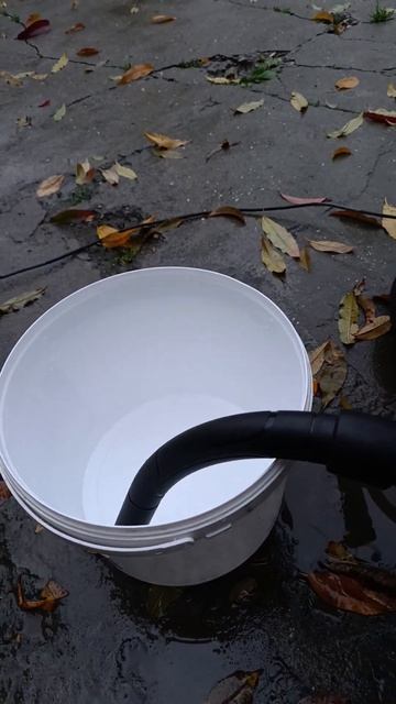 Профессиональный пылесос по 6500р. #tools #инструмент #automobi смотреть онлайн