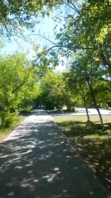 По улице Лободы вдоль забора школы №63 по тротуару, спр смотреть онлайн