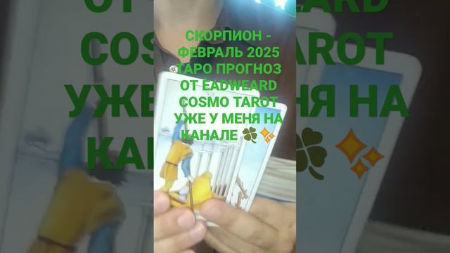 СКОРПИОН - ТАРО ПРОГНОЗ на ФЕВРАЛЬ 2025 от ĒADWEARD COSMO TAROT #sho смотреть онлайн