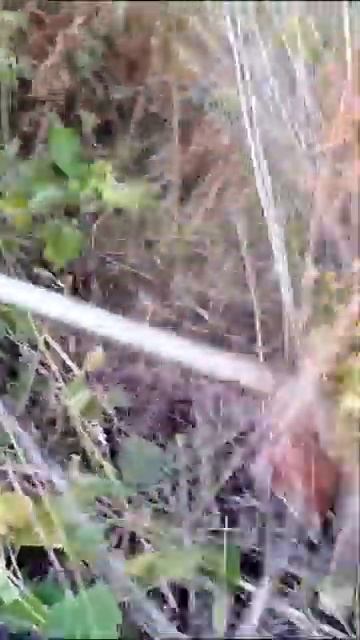 Обзор триммера Total Tools смотреть онлайн