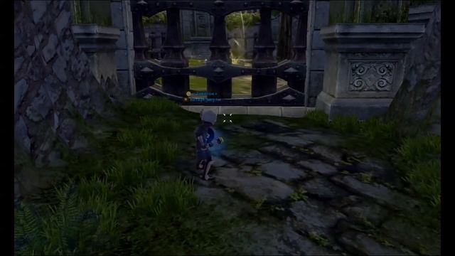 Dragon Nest - Минотавр Баг