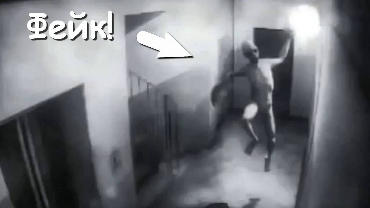 Фейковые загадочные существа и призраки, которых засняли на видео смотреть онлайн