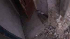 Страшные звуки в заброшенном доме. Кровь стынет в жила