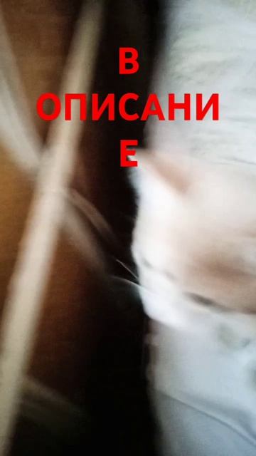 Всем пр я вернулась мне тогда было 6 лет щяс мне 10 сори ? смотреть онлайн