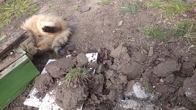 Начало весенних работ. Сад-огород. смотреть онлайн