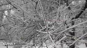 20 февраля День Луки . Что нельзя делать 20 февраля . Наро