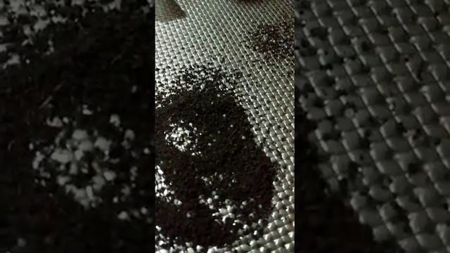 #Ветачай   Чайный пакетик что внутри