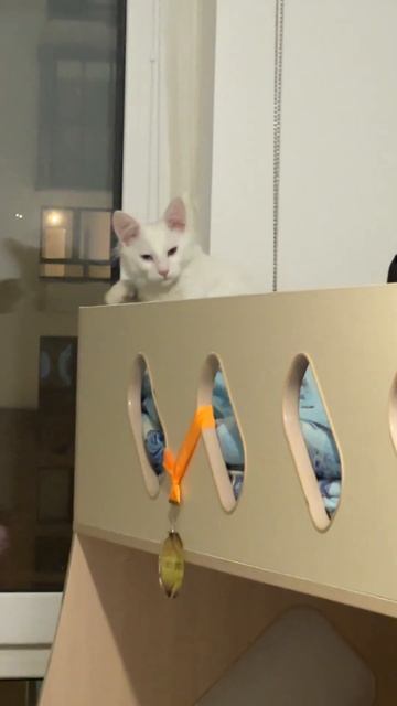 Лютик 18+ (мат) смотреть онлайн