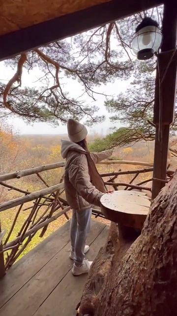 Нашли дом на дереве. 🛖 #дом #нашли #домнадереве