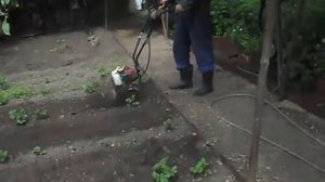 Мототяпка Землячок,работа полольниками,первая проба
