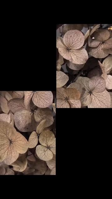 Палитра стабилизированной гортензии. Часть 1 смотреть онлайн