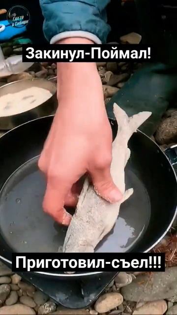 Хариус быстрого приготовления! #рыбалка #сибирь #горна смотреть онлайн