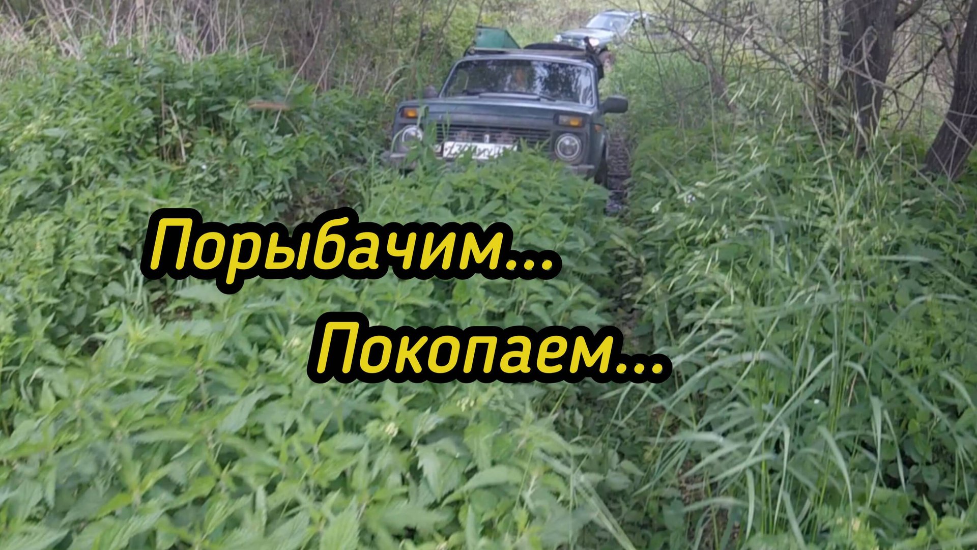 Порыбачил..Покопали..Цена продолжает падать. смотреть онлайн