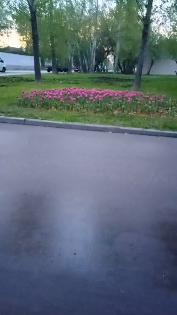москва очень красиво цветы посадили кто то на дарога смотреть онлайн