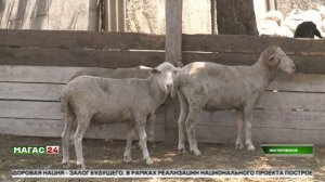 В Сунженском районе и городе Сунже помощь в преддверии Ид аль-Адха получили более 600 семей