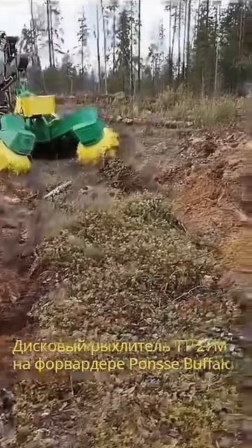 Дисковый рыхлитель Timbertrack ТТ-27М на форвардере Ponsse Buffalo смотреть онлайн