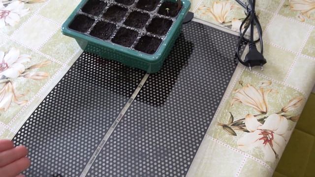 Семена, теплички и коврик для рептилий... но у меня тут ? смотреть онлайн