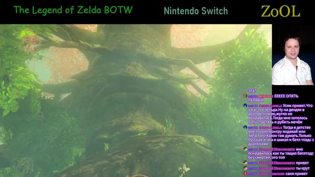 The Legend Of Zelda BOTW (5 лет спустя 11-й A)