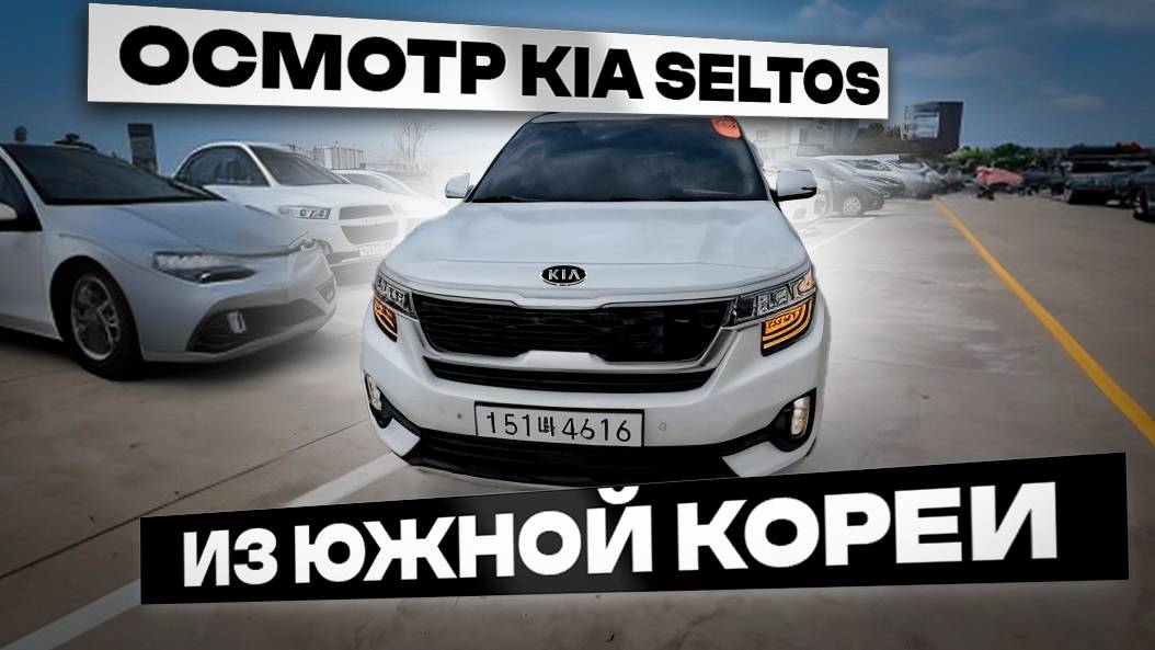 Осмотр Kia Seltos перед покупкой в Южной Корее. смотреть онлайн