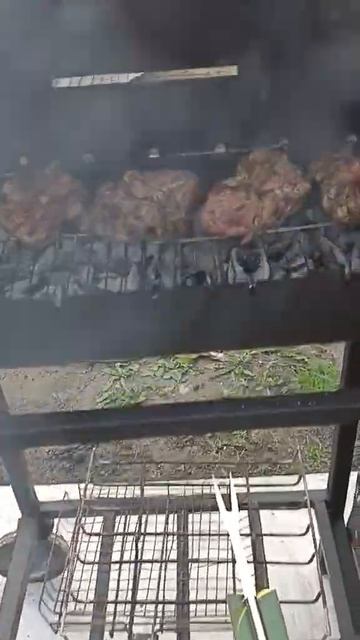 тестируем новый мангал смотреть онлайн