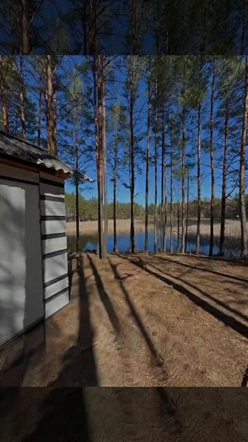 Аренда домиков в кемпинге Пахомово БЕЛАРУСЬ 💦🏕️ #ке смотреть онлайн