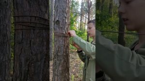 Как сделать натяжку верёвки между деревьями