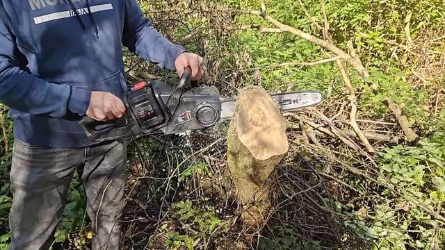 Акумуляторна пила Vitals на 1,5 кВт 36 в. щоб безшумно валит? смотреть онлайн