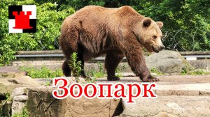 Калининградский зоопарк: Лея, Тигран, Фима и другие...