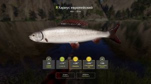 Русская рыбалка 4. рр4. Флюрокарбон белый или прозрачны