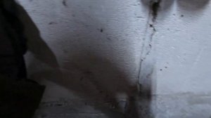 Мтз 1221 ремонт, не працює вом