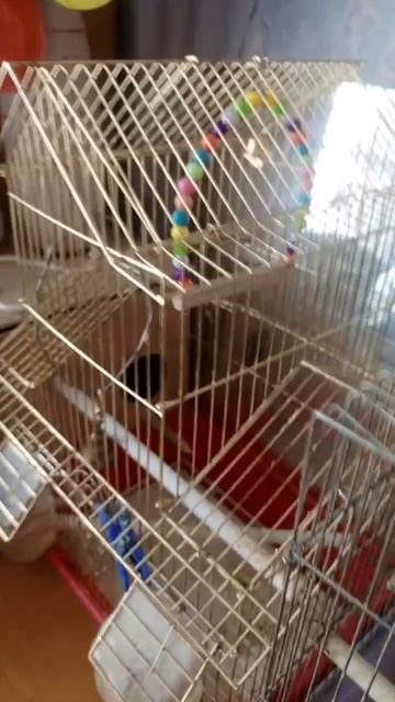 крылатые качели смотреть онлайн