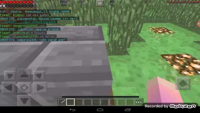 Я играю на сервере World Craft