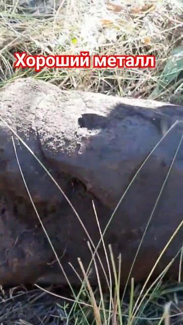 1копарьМеталла #металоискатель #1million #2024shorts #уфа #поиск смотреть онлайн