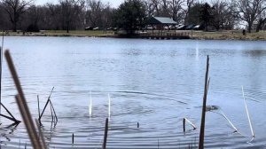 СЕКРЕТЫ 🐟 РЫБАЛКИ форели ВЕСНОЙ! #поплавокрыбалкадля