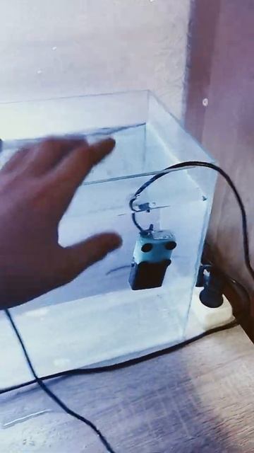 #рыбы#аквариум#пересадка #очистка#от бактерий