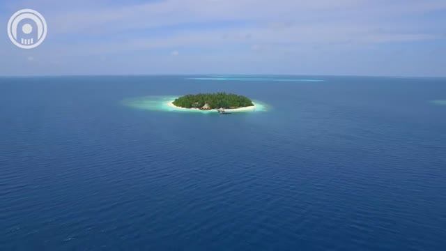 Top 50 SHAZAM⛄Лучшая Музыка 2025⛄Зарубежные песни Хиты⛄Популярные Песни Слушать Бесплатно #45 смотреть онлайн