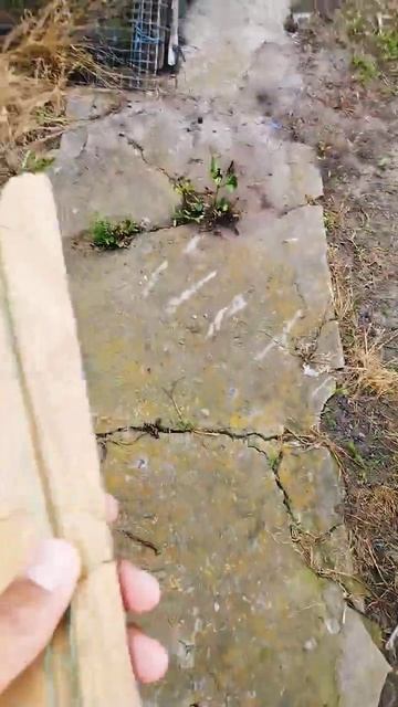 #shors#рыбалка#сом#река#весна#фильмы