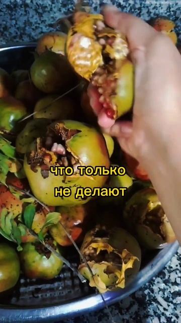 В Турции в сезон созревания граната практически кажды