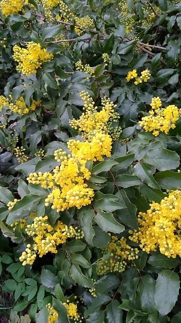 Название знаете?