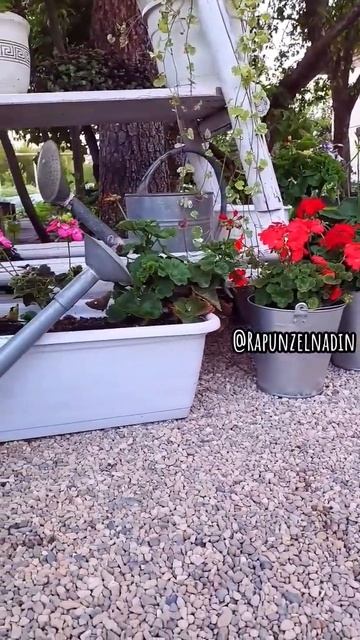 Сад как из Pinterest #сад #ландшафтныйдизайн #pinterest смотреть онлайн