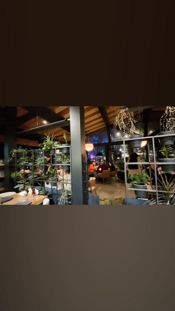 Еляты 🎄 смотреть онлайн