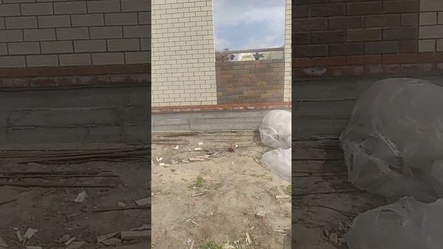 21 мая 2024 г. смотреть онлайн