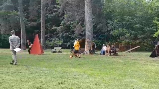 1 Отл. КЧК AMIGO Nova Jamina +++ №9. КЧК ТОЛЬЯТТИ 24 мая`25 А.Сороко Моно немецких овчарок